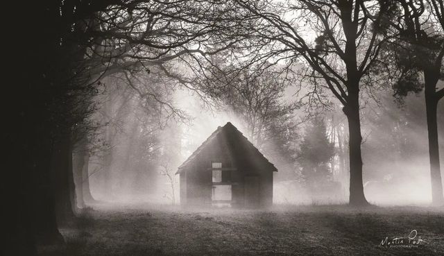 Classy Art The Shed by Martin Podt Wall Art-0