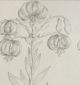 Stylecraft Floral Fresco II Gray/Off-White Wall Art-1