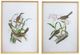 A & B Home 2-Piece Botanical and Bird Wall Art Set-1