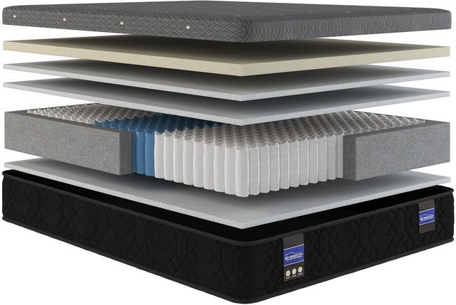 Spring Air® Back Supporter Grace 12.5" Hybrid Plush Smooth Top Full XL Mattress-2