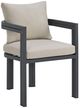 Elements International Playa Dark Gray/Olefin Beige Fabric/Metal Outdoor Dining Chair-0