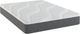 Sherwood® Bedding XXV Selene Diez 10" Memory Foam Firm Tight Top Queen Mattress in a Box-0