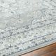 Surya Hera Gray/White 4'x6' Area Rug-4