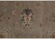 Feizy Bhatia Gray 5' x 8' Rug-1
