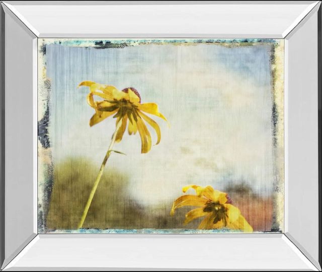 Classy Art Blackeyed Susan Il by Meghan Mcsweeney Mirror Framed Wall Art-0