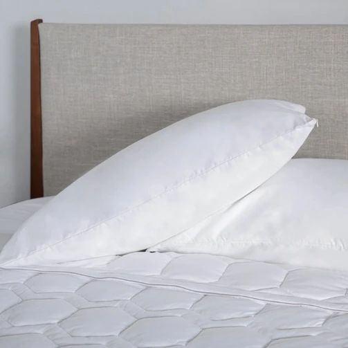 BEDGEAR® iProtect® Standard Pillow Protector-3