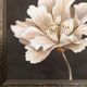 StyleCraft Willow Blossom I Cream Wall Art-1