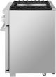 SKS 48" Stainless Steel Pro Style Dual Fuel Range-4