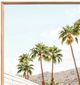 Crestview Collection Palm Springs Cruisin Wall Art-1