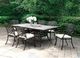 Furniture of America® Charissa Antique Black/Beige Fabric/Metal Outdoor Dining Arm Chair-1