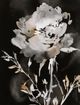 Stylecraft Moody Floral I Black/Brown/Gray/White Wall Art-1