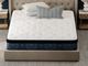 Summerwood Plush Queen Mattress-2