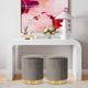 TOV Furniture Zoe Grey Velvet Storage Ottoman-4