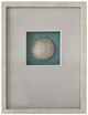 Crestview Collection Beachcomber's Find 3-Piece White Wall Art Set-3