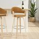 Armen Living Daxton 2-Piece Camel/Oak Barstool Set-1