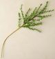 Magnolia Home by Joanna Gaines Green Real Touch Leaf Stem-0