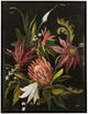 Stylecraft Tamara Day for Stylecraft Flower Light I Wall Art-0