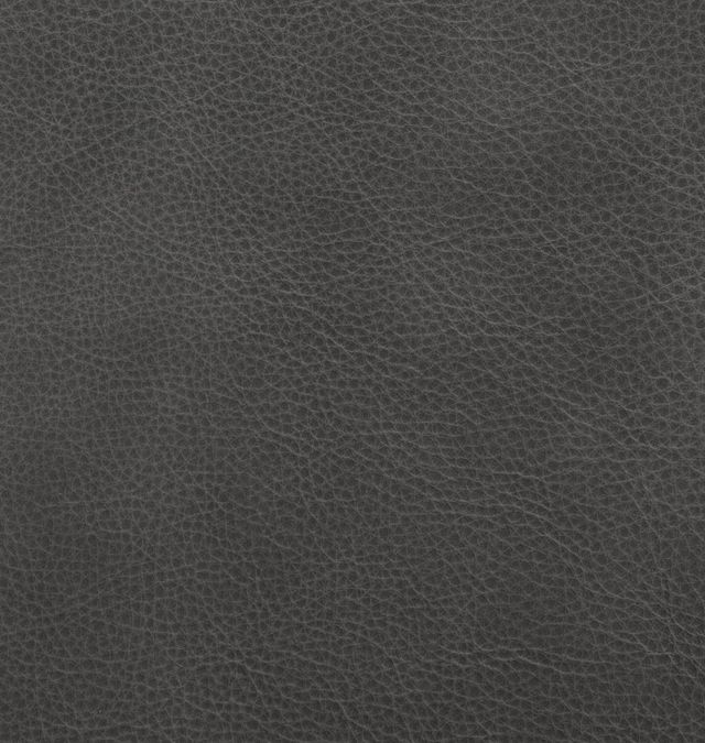 Hydeline® Belfast Ash Gray Sofa-2