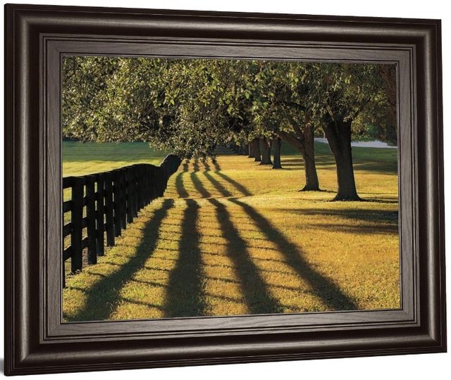 Classy Living Mike Jones Chasing Shadows Wall Art-3
