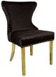 Furniture of America® Portanova 2-Piece Black/Gold Side Chair Set-0