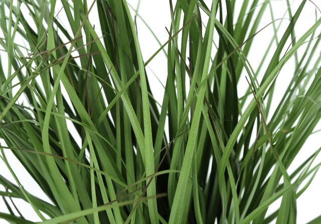 Monarch Specialties Inc. Green/Black 23" Artificial Potted Grass-2