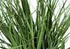 Monarch Specialties Inc. Green/Black 23" Artificial Potted Grass-2