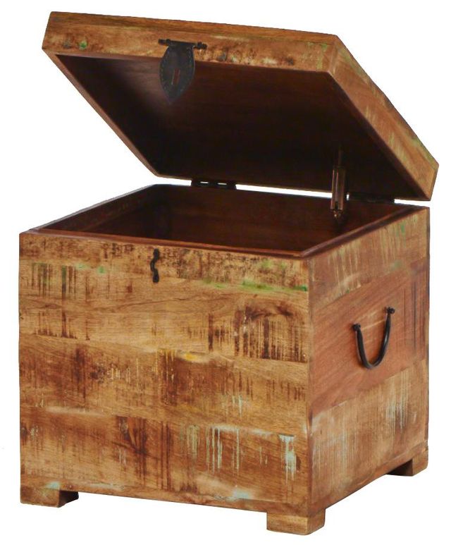 Jaipur Furniture Reclaimed Rustic Sawan Trunk-1