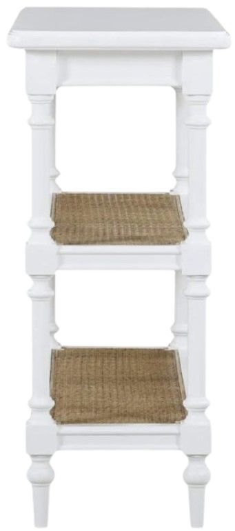 Bramble Palmetto Console Table-3