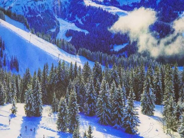 YHD Ski Run I Wall Art-3