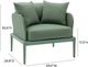TOV Furniture Kapri Moss Green Aluminum/Fabric Outdoor Accent Chair-2