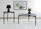Coaster® Rosalie 2-Piece Tempered Smoke Glass Top Occasional Table with Sandy Black Base Set-5