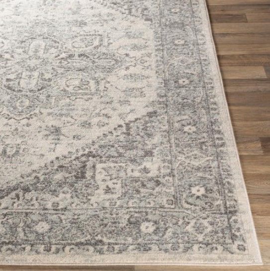 Surya Chester 5'x7' Area Rug-1