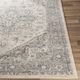 Surya Chester 5'x7' Area Rug-1