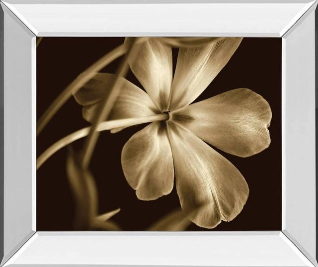 Classy Art Bella by Adrian Jendrasik Wall Art-0