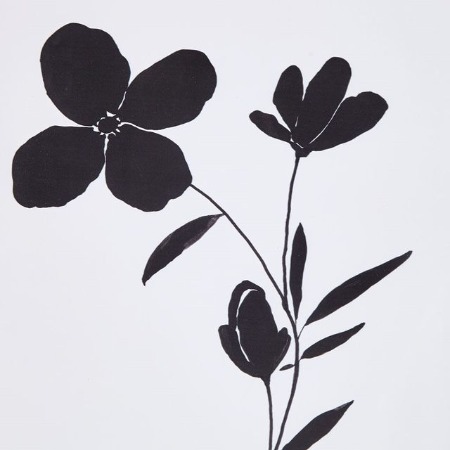 Olliix by Madison Park Floating Floret 2 Pieces Black and White Single Mat Framed Wall Art Set-2