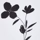 Olliix by Madison Park Floating Floret 2 Pieces Black and White Single Mat Framed Wall Art Set-2