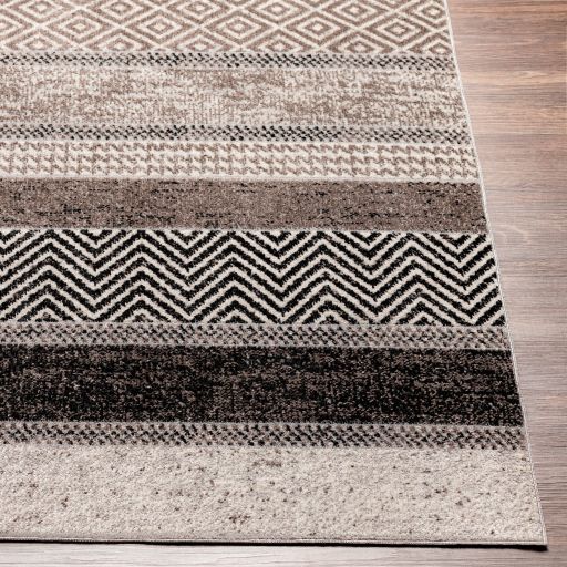 Surya Lavadora Multi-Colored 8'x10' Area Rug-1