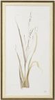 Stylecraft Moor Grass Beige/Brown Wall Art-0