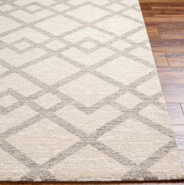 Surya Gavic Light Beige/Medium Gray 4'x6' Area Rug-1