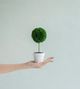 A & B Home 3-Piece Cream/Green Mini Faux Potted Topiaries Set-4