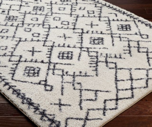 Surya Lykke Black/White 4'x6' Area Rug-2