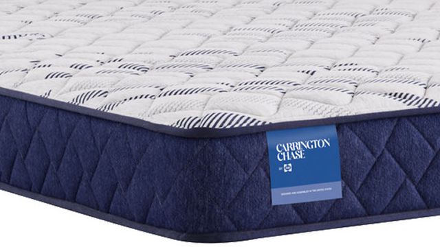 Sealy® Carrington Chase Erie 7" Foam Medium Firm Tight Top Twin Mattress-1