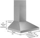 Coyote® 48" Stainless Steel Outdoor Chimney Hood-1