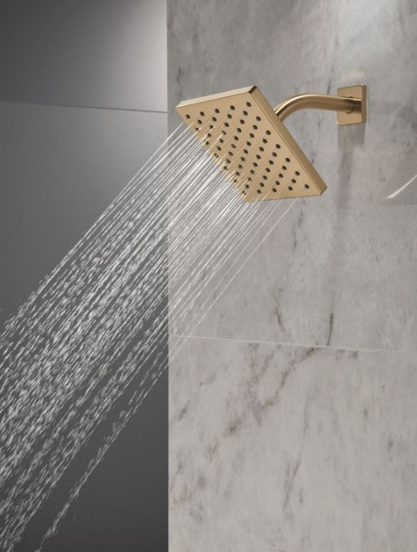 Delta Modern Champagne Bronze Single-Setting Shower Head-1