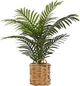 Monarch Specialties Inc. Green/Natural 24" Tall Artificial Potted Palm-0
