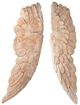 A & B Home 2-Piece Beige Angel Wings Wall Art Set-1