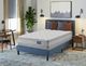 Serta® Perfect Sleeper® Hotel Presidential Suite 14.5" Wrapped Coil Plush Euro Pillow Top Double-Sided Twin Mattress-3