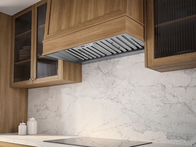 Zephyr Monsoon I 42" Stainless Steel Insert Range Range Hood-1