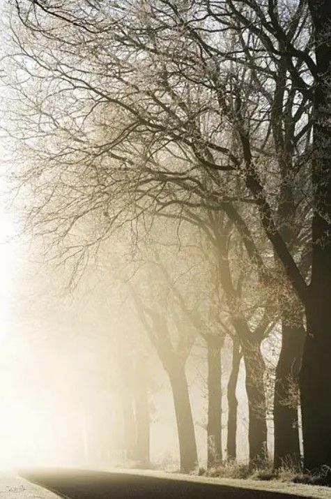 Classy Art Fading Into the Light by Martin Podt Wall Art-0