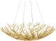 Currey & Company Aviva Stanoff Sea Fan Gold Gilt Bowl Chandelier-0